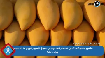 «تغير ملحوظ» تباين أسعار المانجو في سوق العبور اليوم ما الأسباب وراء ذلك؟